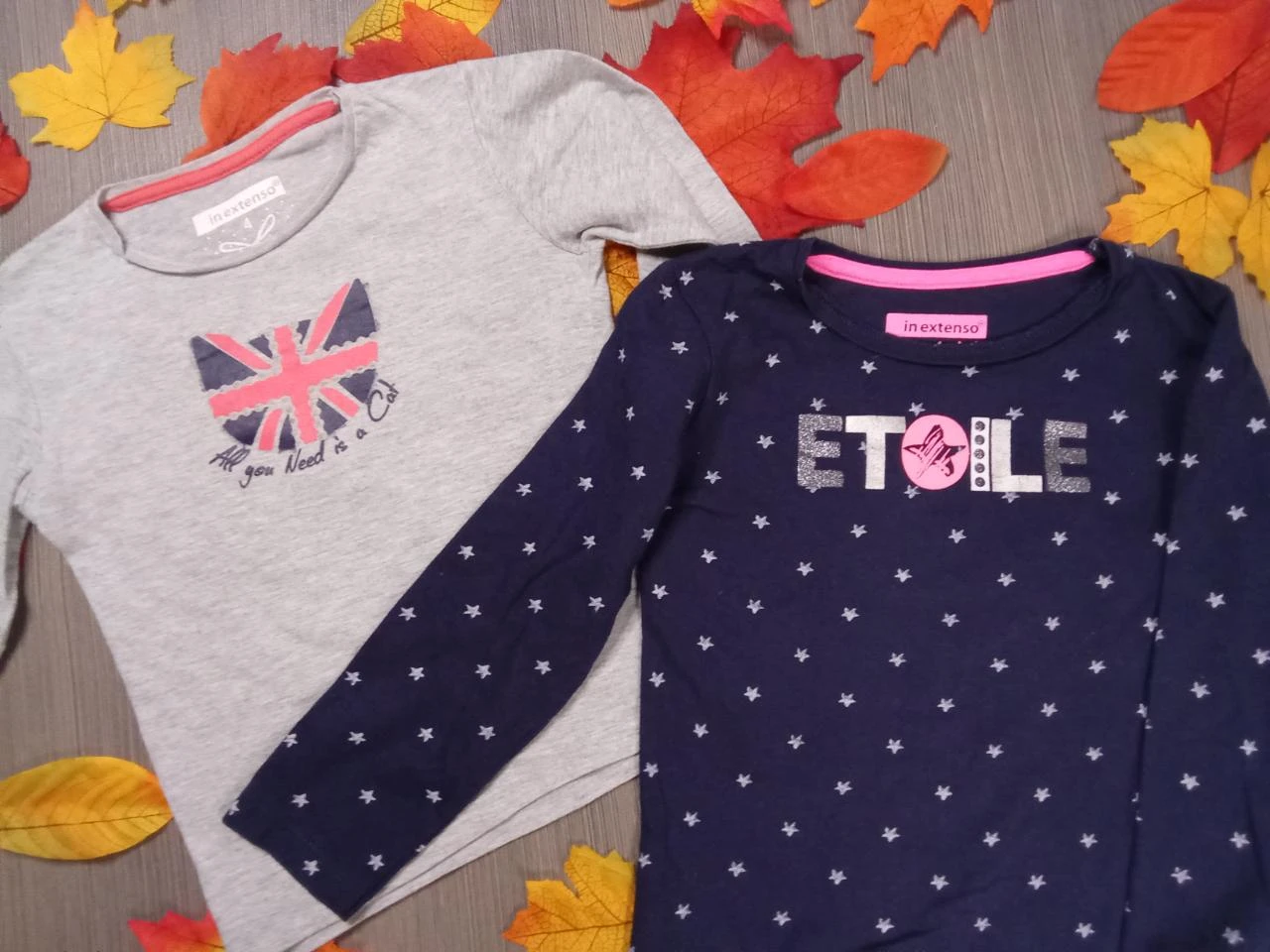 Lot 2 t-shirts manches longues In Extenso 4 ans